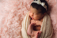 Rosales Newborn 2017